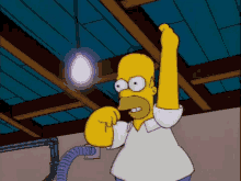 homer-simpson-lights-out.gif.da18bfda931a528b76c1377c9cce2499.gif