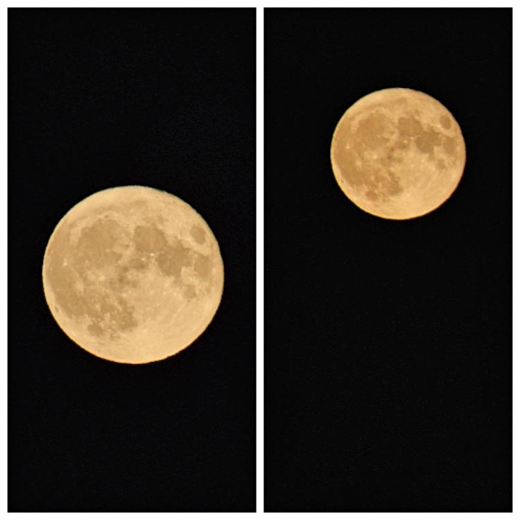 Collage moon 8 1 23(1) super moon.jpg