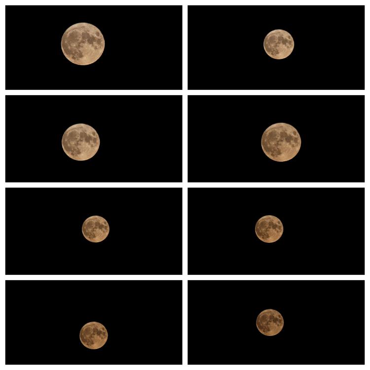 Collage moons 8 11 22 FOTO.jpg