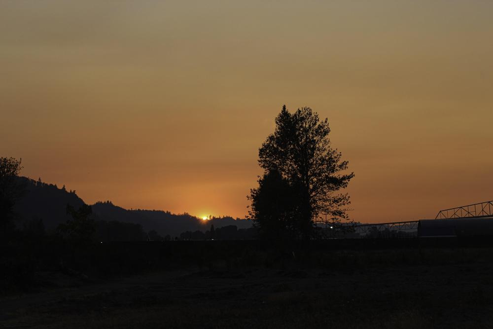 IMG_1630 fire affected sunset.jpg