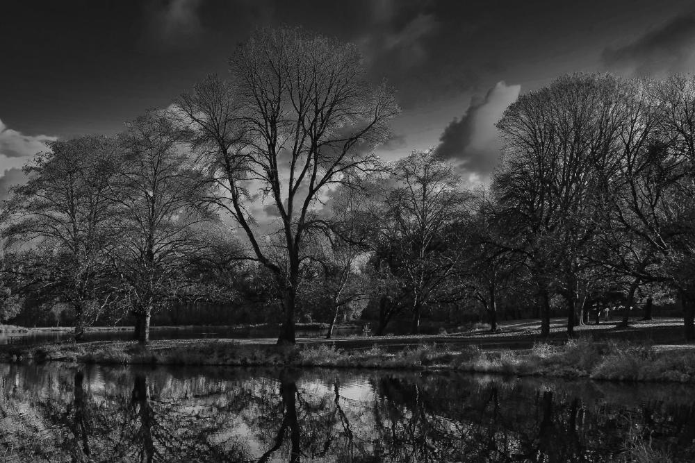 IMG_2706 bw trojan fall day.jpg