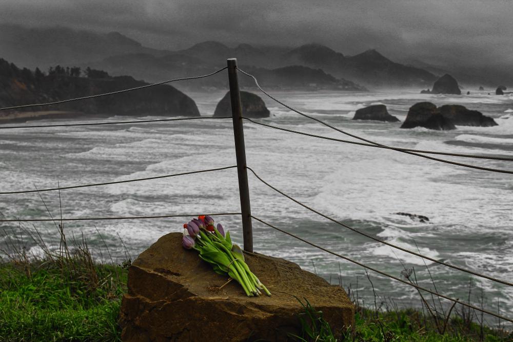 IMG_5152 bw red green.jpg