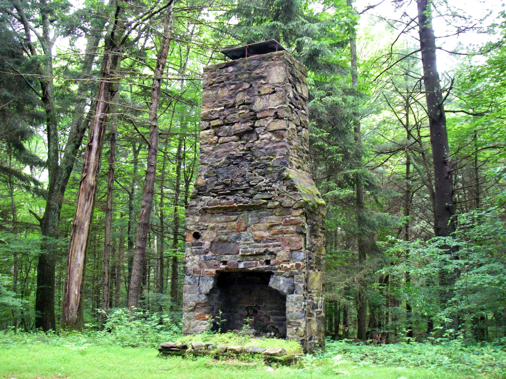 chimneyinthewoods_02.png