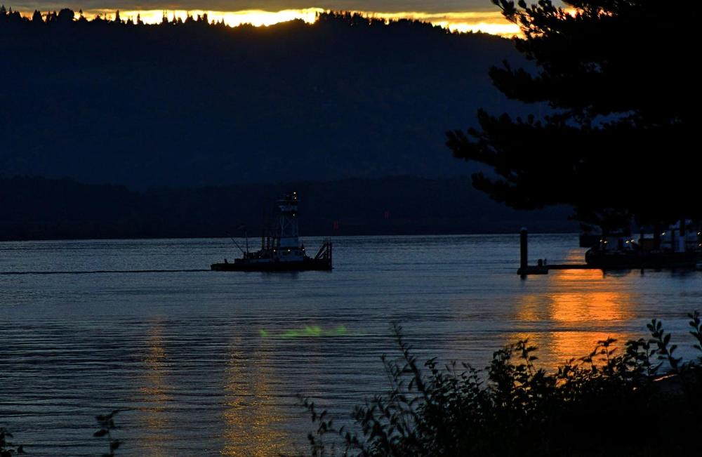 248043414_559122058675453_5295457244367374067_n green flash.jpg