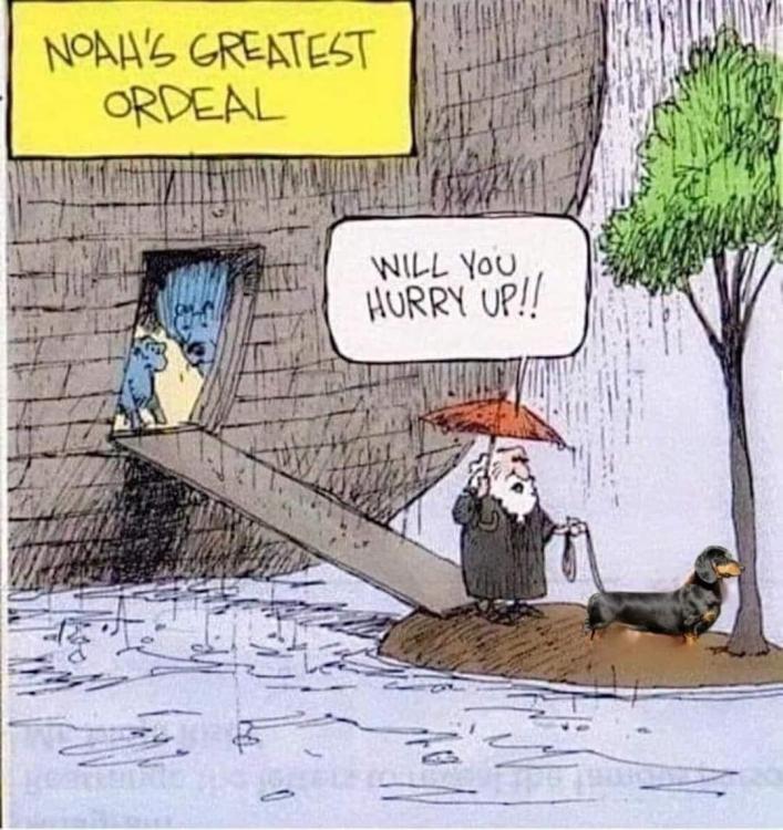 394085643_658742183036118_923343260017377387_n NOAH.jpg