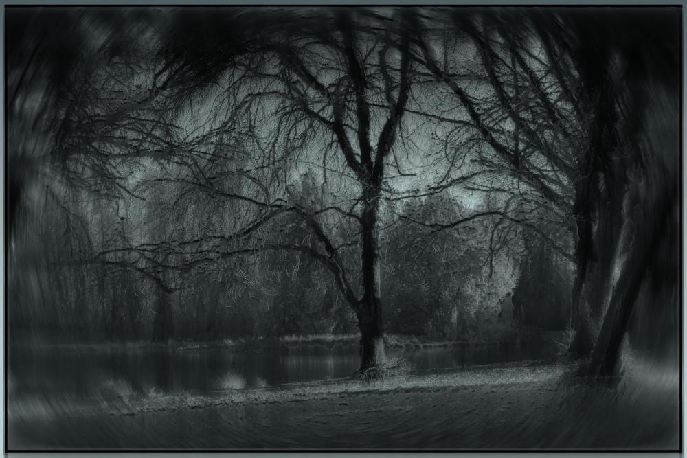 DSC_0100 fall day at trojan fluid nd dark reversal.jpg