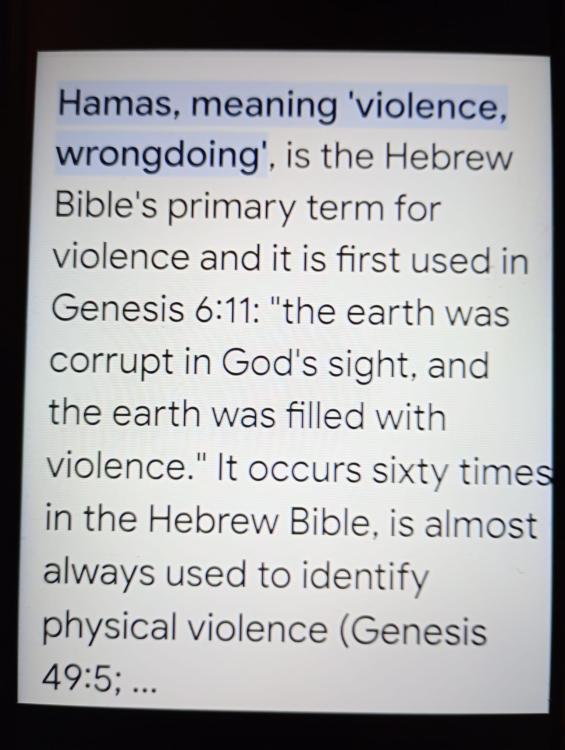 Hamas meaning.jpeg