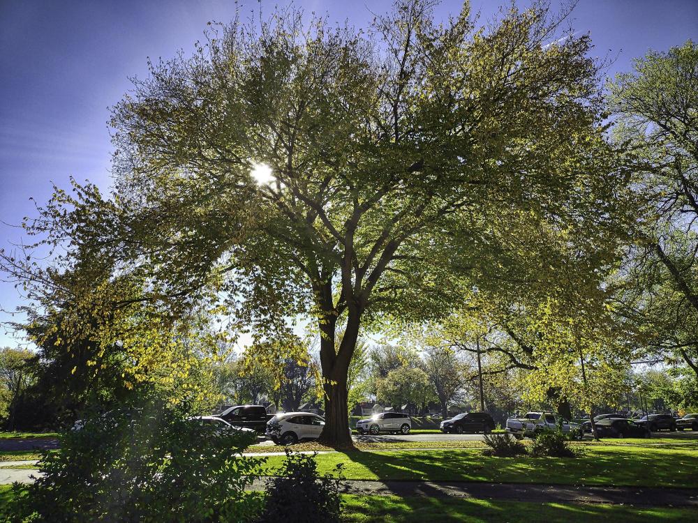 IMG_20231018_152116219 sunrays.jpg