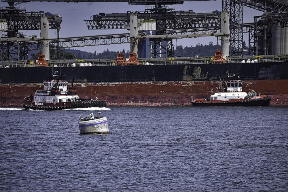 DSC_0338 two tugs big ship.jpg