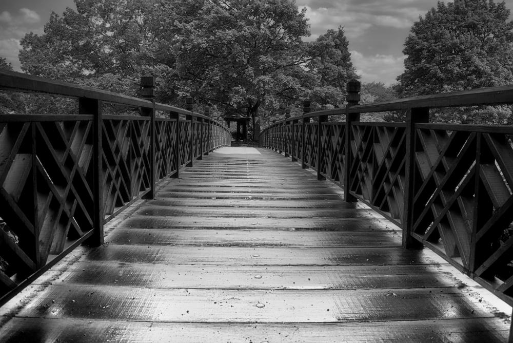 DSC_0462 Jap garden bridge BW Pro.jpg