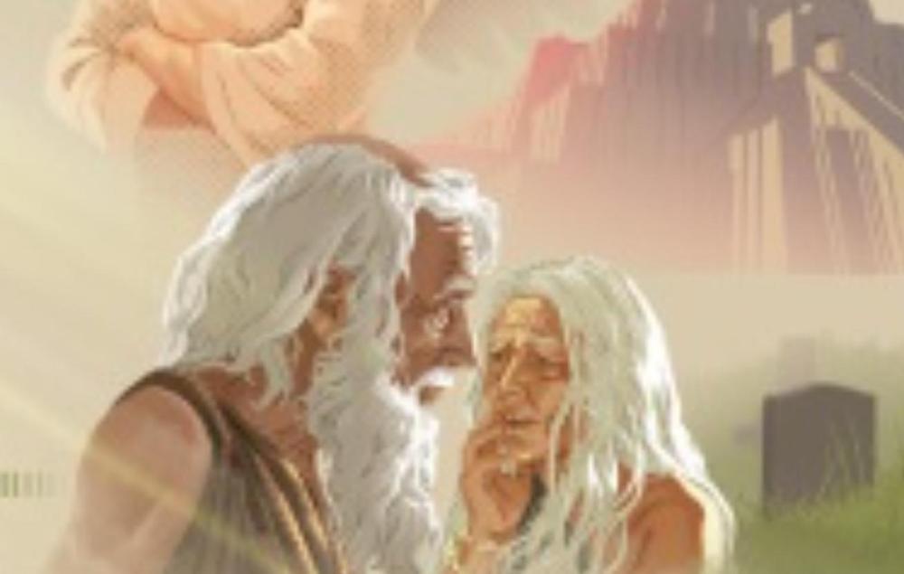 adam bald spot CROPPED.jpg