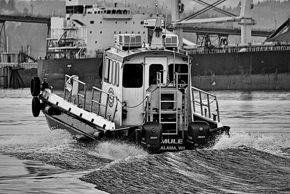 DSC_0321 BW MULE Kalama Washington vessel(1).jpg