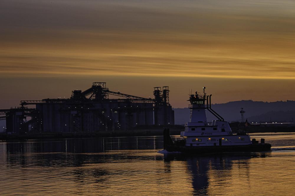 IMG_0437 tug on CR at beautiful sunrise against pol.jpg