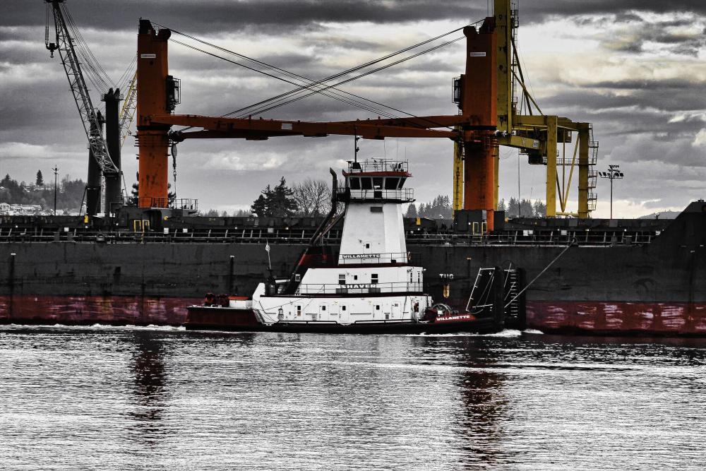 IMG_6887 cropped  LUM tug against Nordtigris_edited APE Orange.jpg