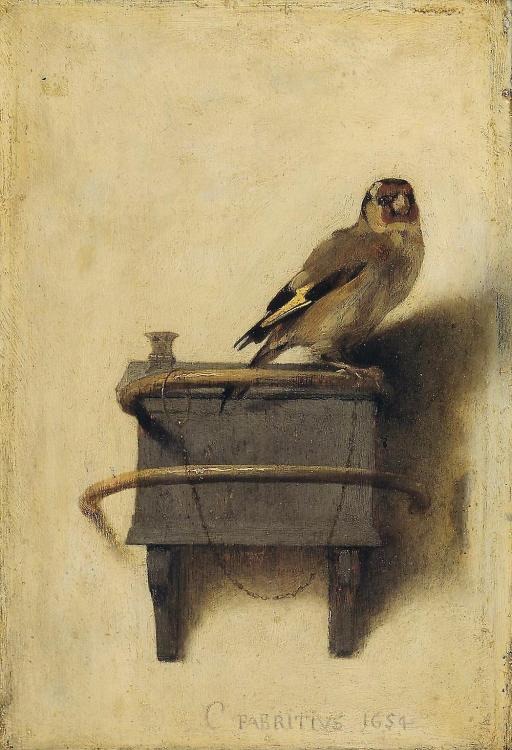 The Goldfinch.jpg