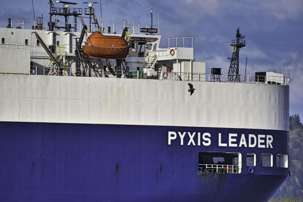 DSC_0382 PYXIS LEADER with Osprey(1) FE.jpg