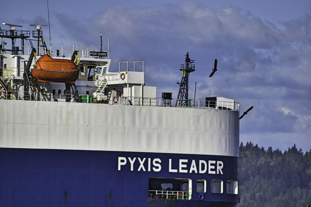 DSC_0383 PYXIS LEADER TWO OSPREYS(1) FE.jpg
