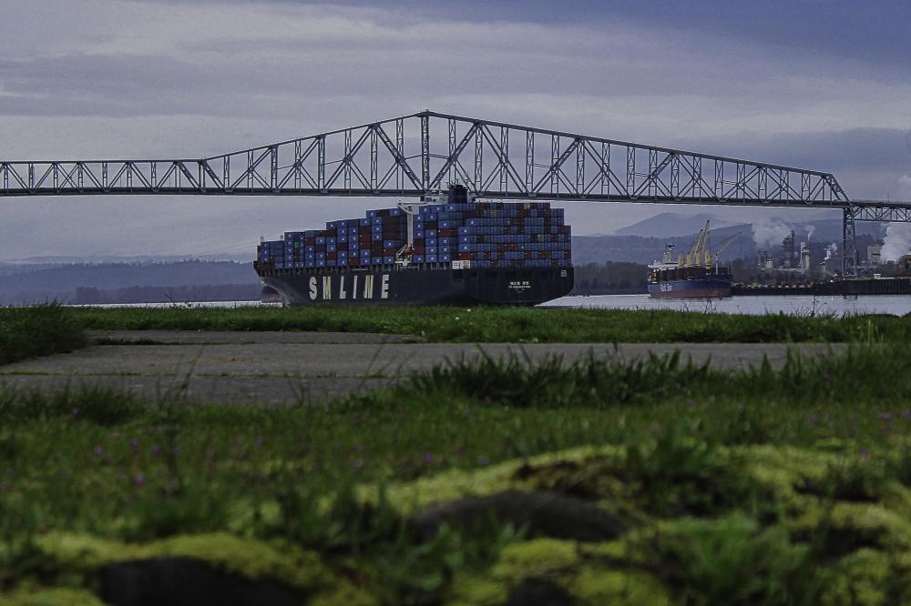 IMG_2789 cropped view of dock ramp grass SM KWANGYANG.jpg