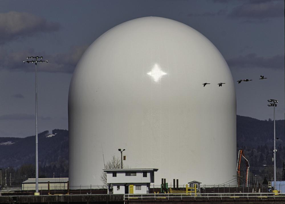 IMG_7040 silo with geese flying by.jpg