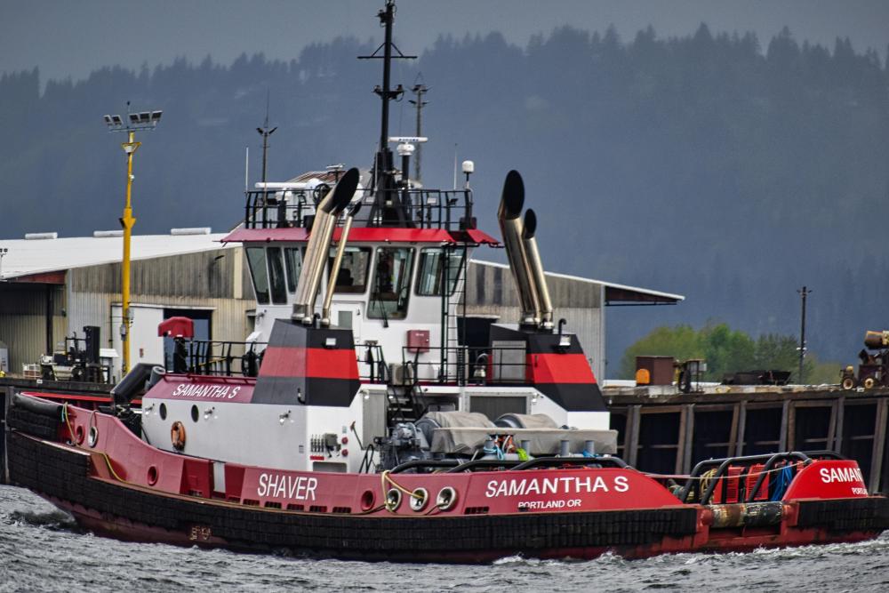 DSC_0564 rear view samantha s tug pe fish eye.jpg