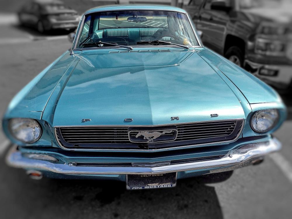 IMG_20230706_110138523_HDR Mustang front PIX blur FE.jpg