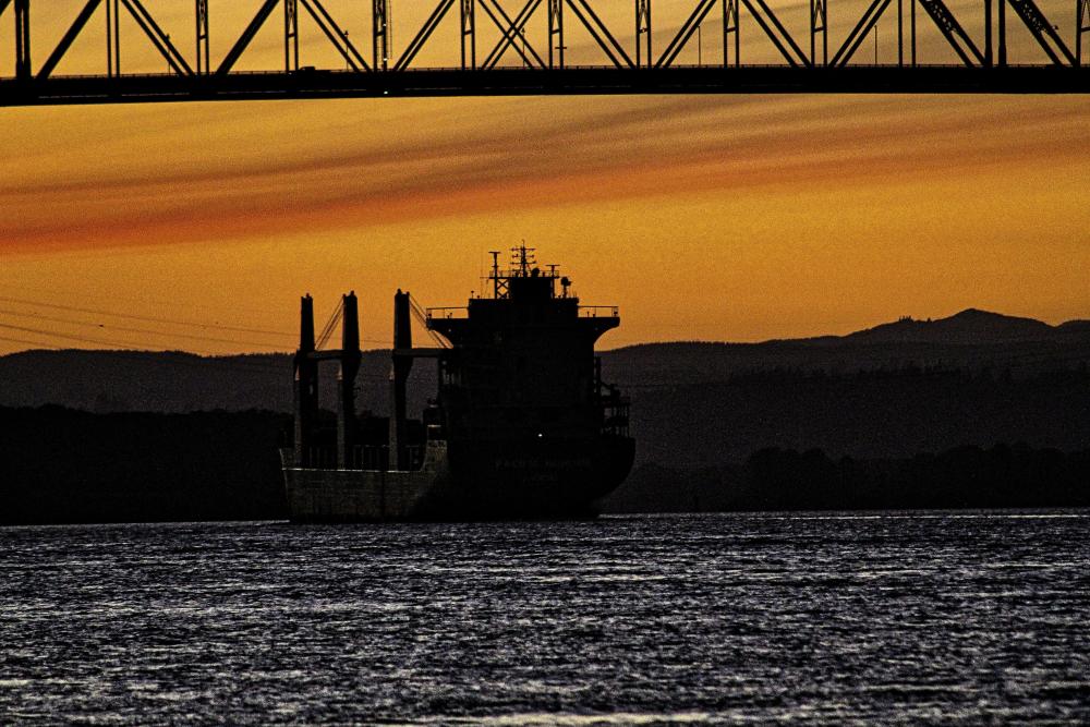 IMG_7982 pacific honour under LCB(1) fe.jpg