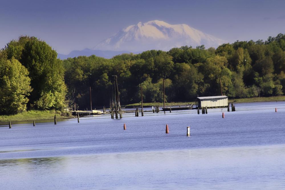 IMG_2395 MT Hood from Scappose Kyaak area.jpg