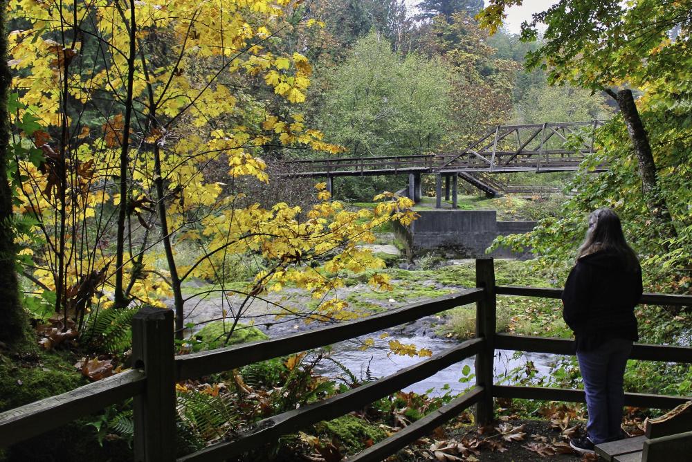 IMG_4667 debbie enjoying the view at TFP.jpg