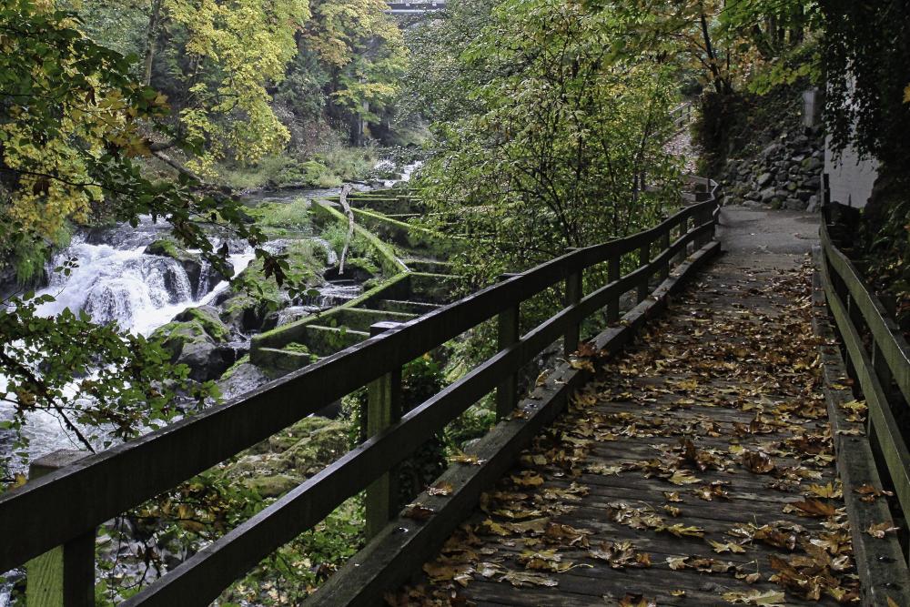 IMG_4724 walkway tumwater falls.jpg