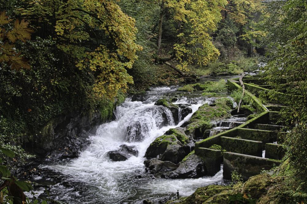 IMG_4736 Middle tumwater Falls Park.jpg