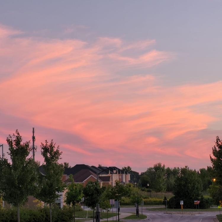 WhatsApp Image 2024-08-31 at 8.30.19 PM.jpeg