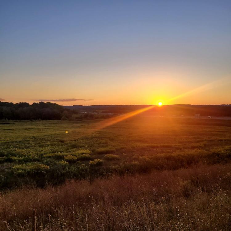 WhatsApp Image 2024-08-31 at 8.30.22 PM.jpeg