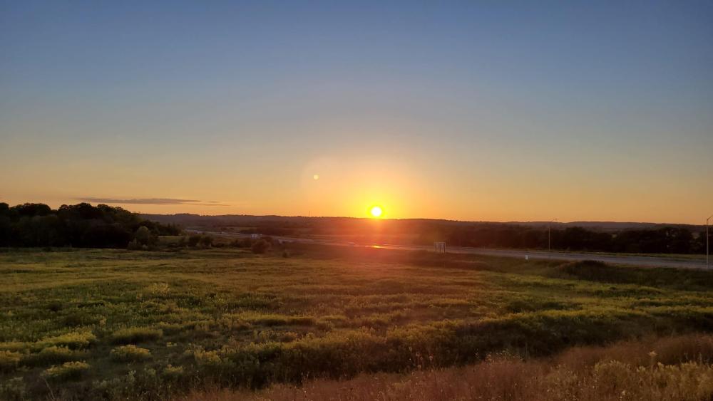 WhatsApp Image 2024-08-31 at 8.32.24 PM.jpeg