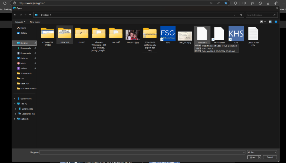Opening Web Page.png