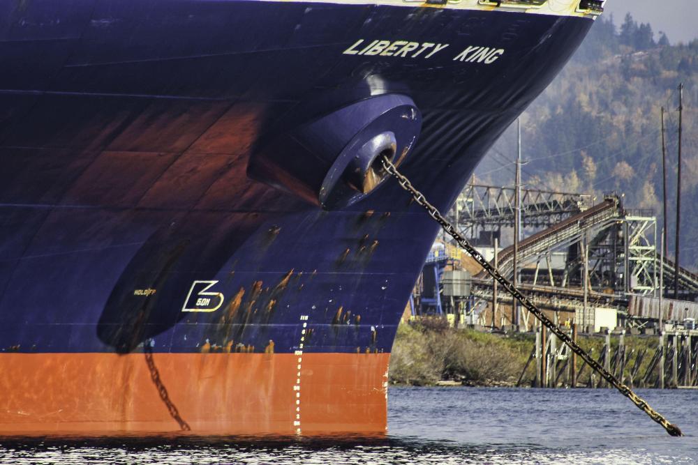 IMG_8808 liberty king at anchor up close.jpg