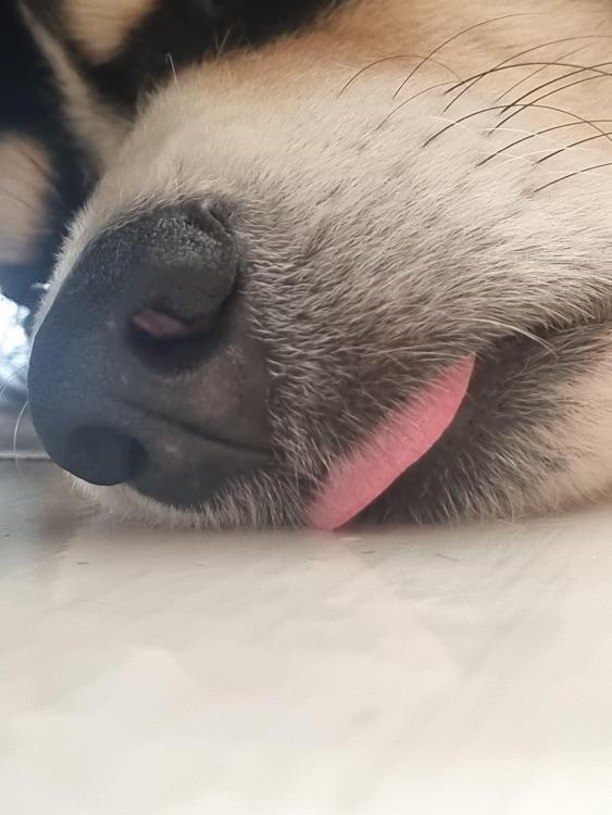 Imagem do WhatsApp de 2025-02-18 à(s) 10.04.34_e930780f.jpg