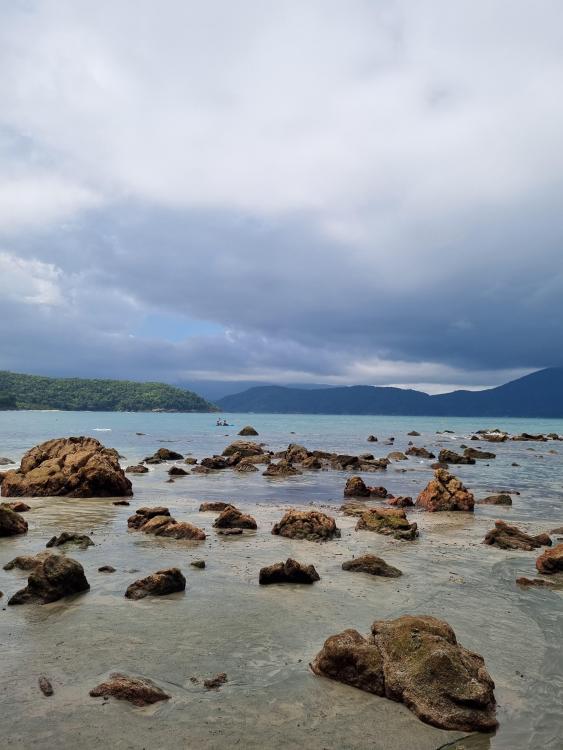 Imagem do WhatsApp de 2025-02-23 à(s) 20.21.55_ae707c12.jpg