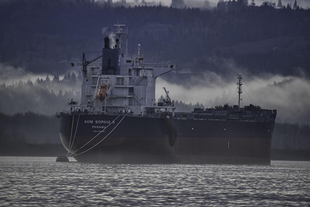 DSC_2101 AOM SOPHIE II fog.jpg