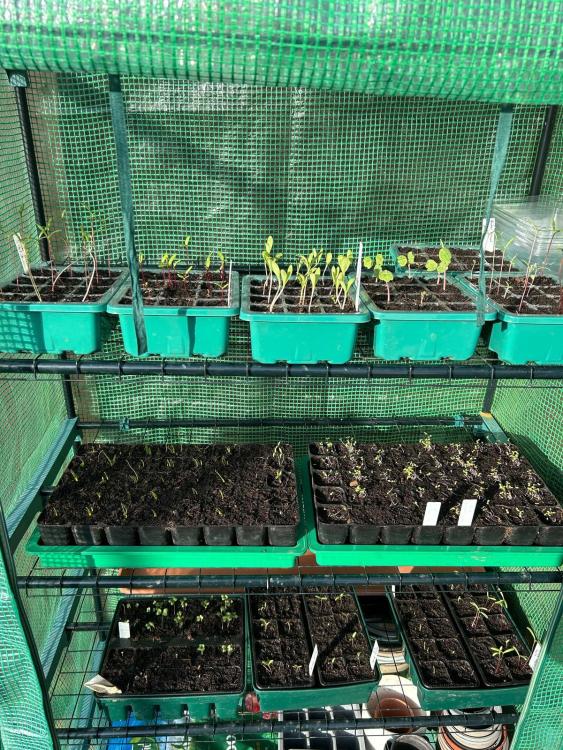 WhatsApp Image 2025-03-01 at 21.14.22_b1f6ac29.jpg