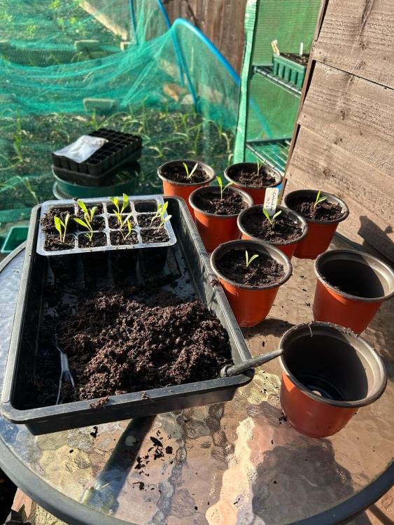 WhatsApp Image 2025-03-01 at 21.14.23_e8acc349.jpg