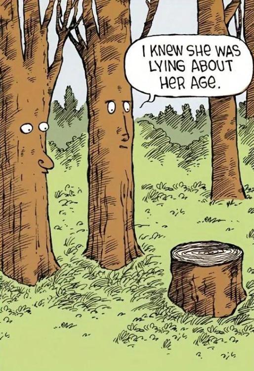 lying about age.jpg