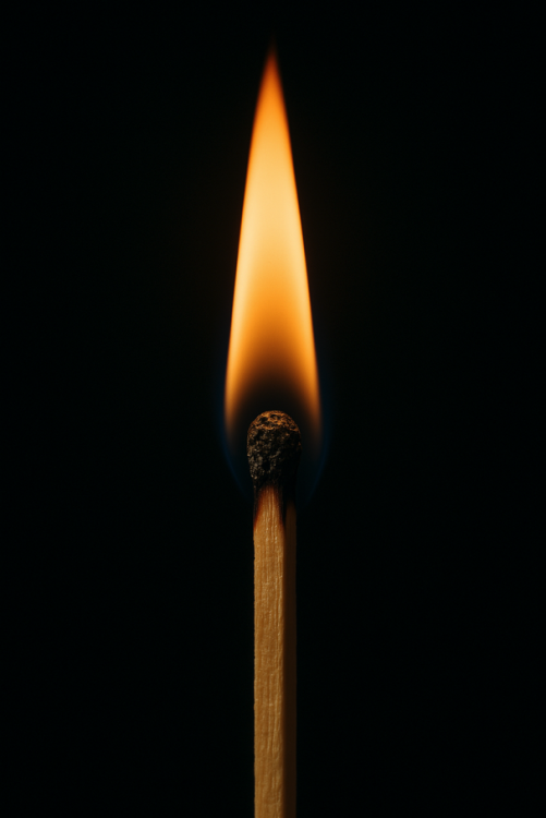 1stfireGOW.thumb.png.aad0b3b251b36ce1123d6f2ec76e65c8.png