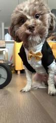All dressed up and nowhere to go!