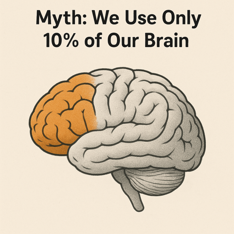 10percentmyth.thumb.png.fd9925babfc79137b357efd00e637f17.png