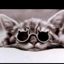 mamcat