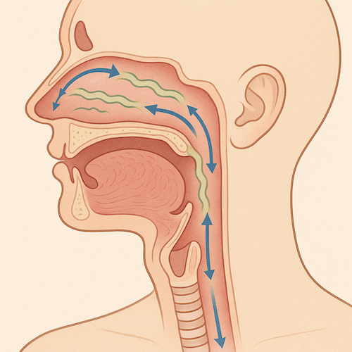 phemdiagram.png.ded228f370938befba8c9bec3ee942aa.png