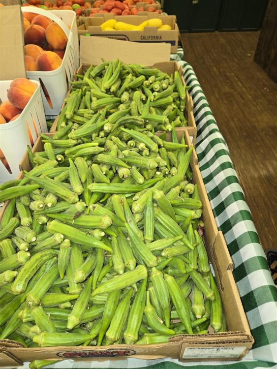 Okra (990 x 1320).jpg