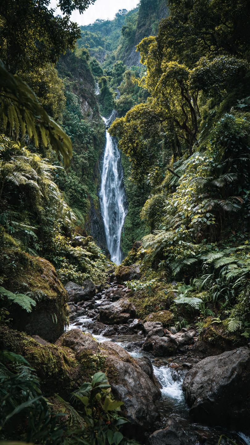 Sunlit trees and plants in Jehovah’s creation