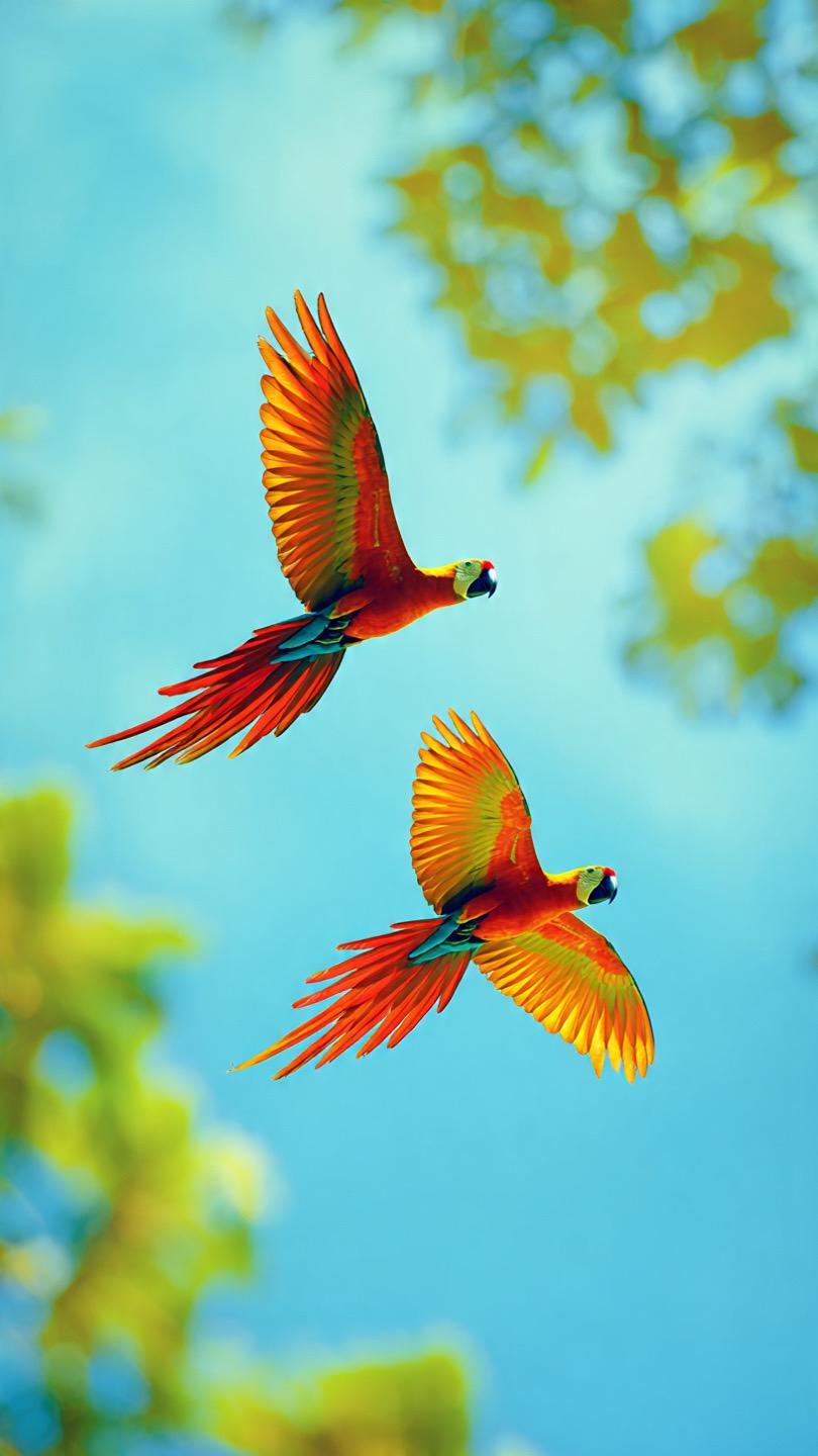 Natural landscape scene emphasizing trees and greenery