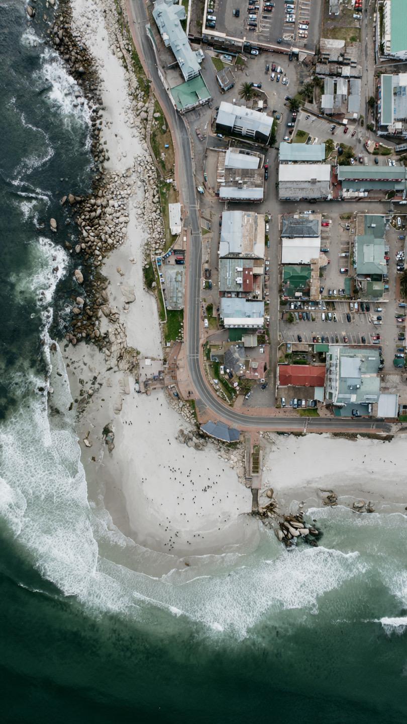 African penguins walking freely on a quiet South African beach, distant houses shuttered during COVID-19 restrictions, waves glinting under soft light.